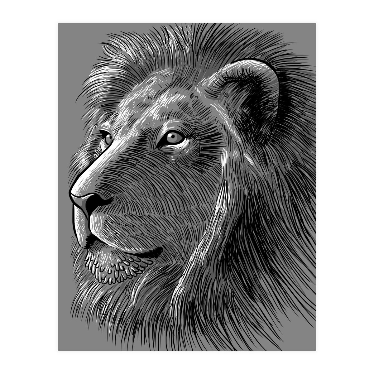 Sketch Lion (Print Only)