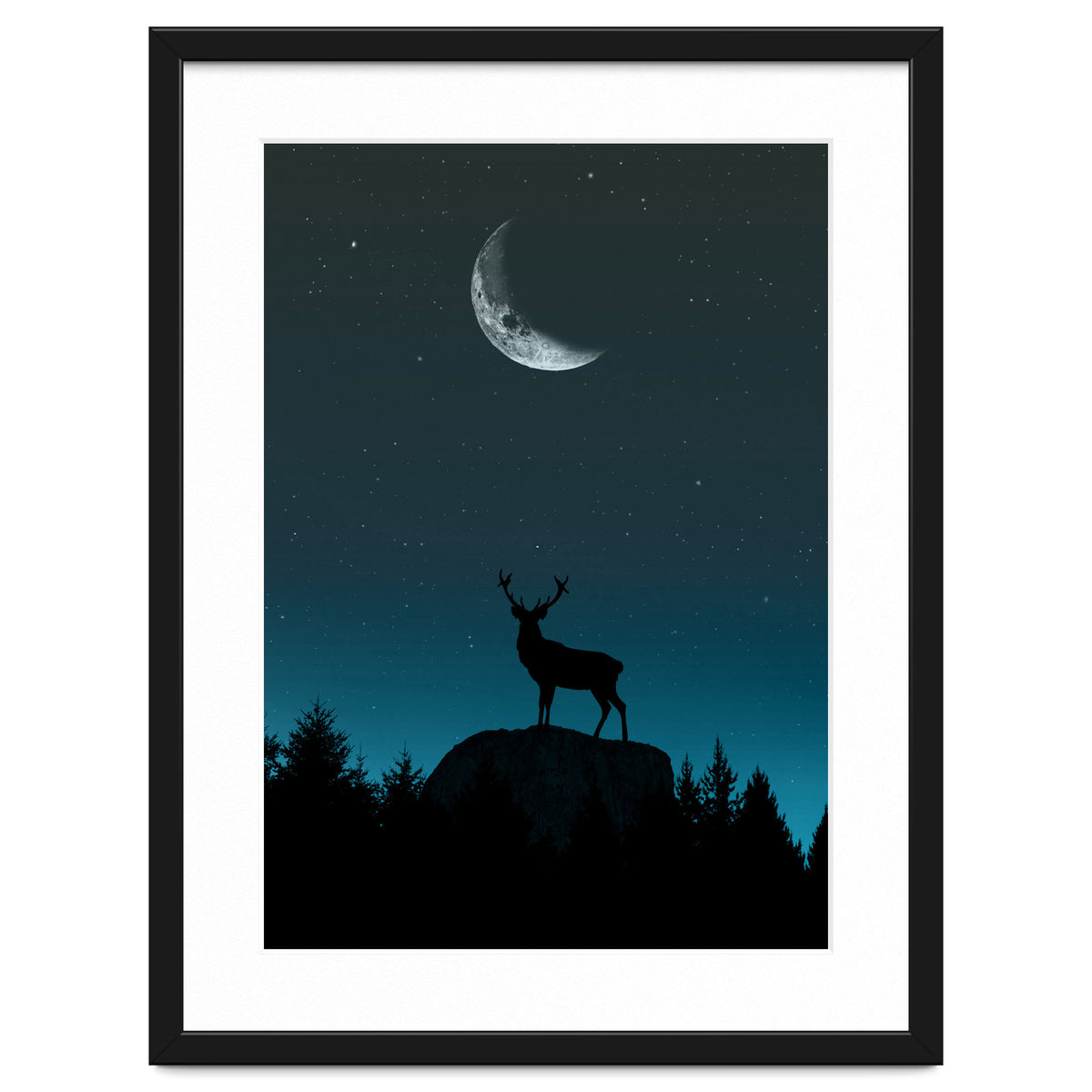 Wild Nature - Nocturne