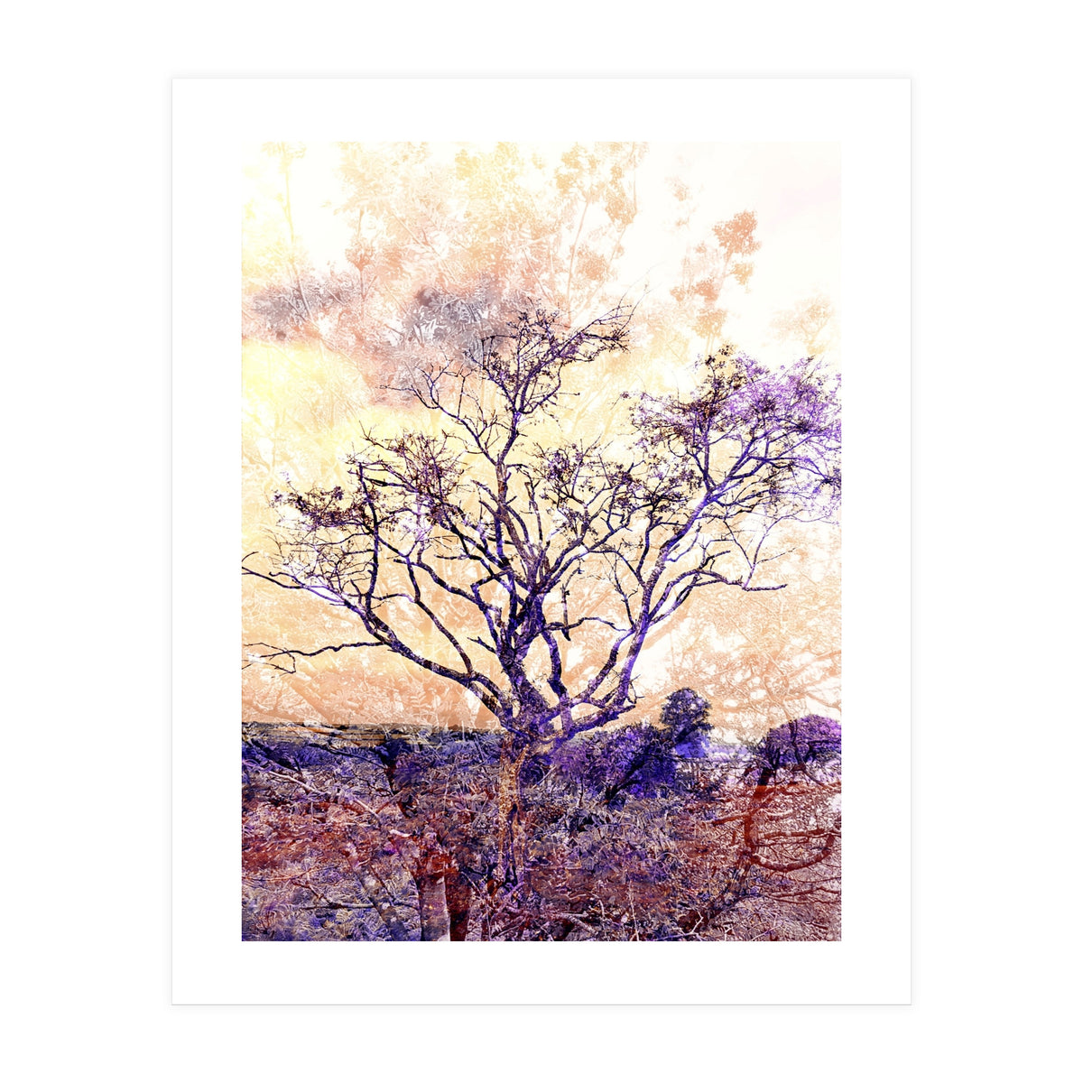 Lonely Tree II (Print Only)