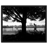 Central Park, New York City thumbnail