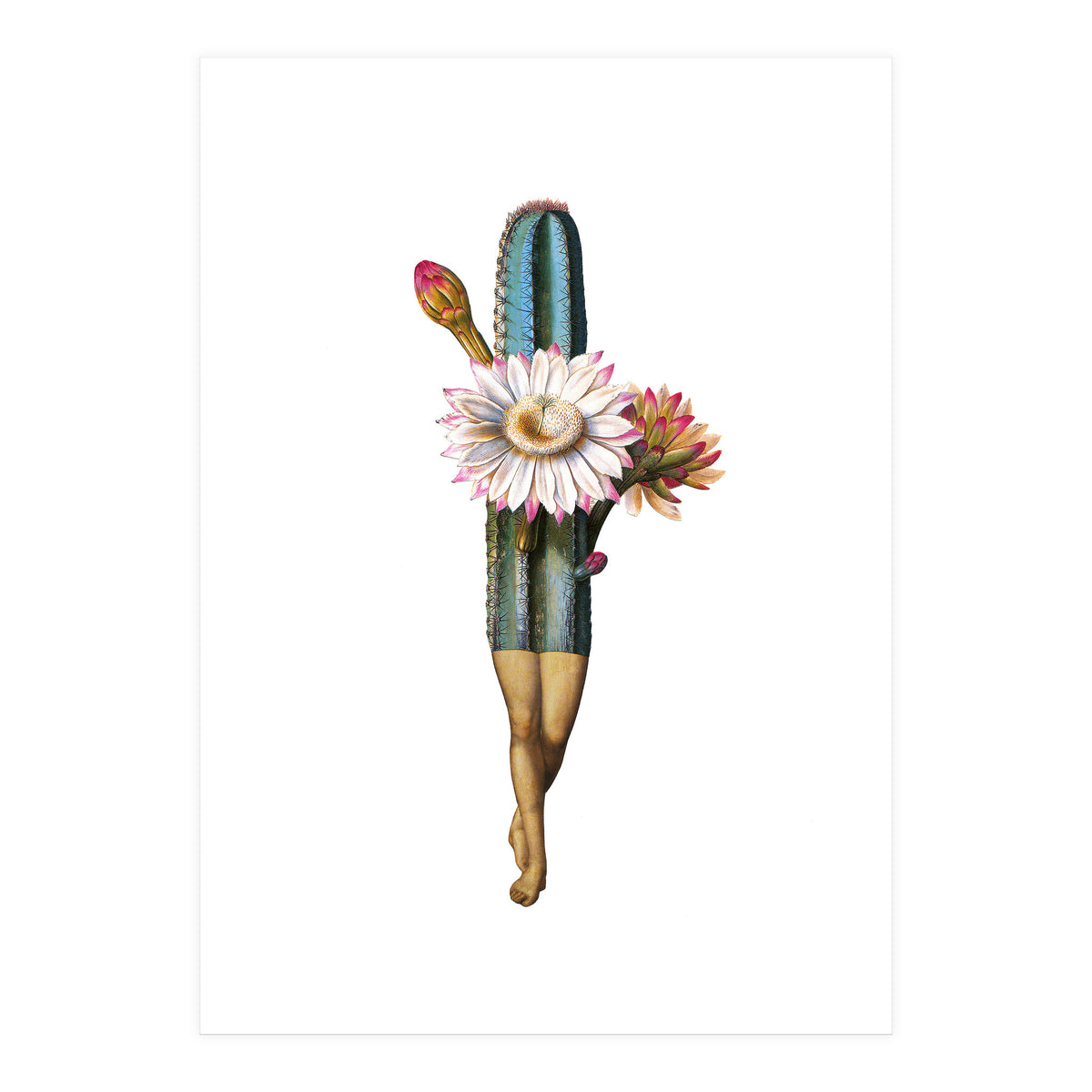 Night Bloomer (Print Only)