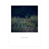 you are not alone - Nature Photography (Print Only) thumbnail