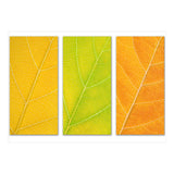 Autumn Leaves (Print Only) thumbnail