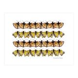 Butterfly Dance (Print Only) thumbnail