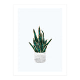 Snake Plant gold and green (Print Only) thumbnail