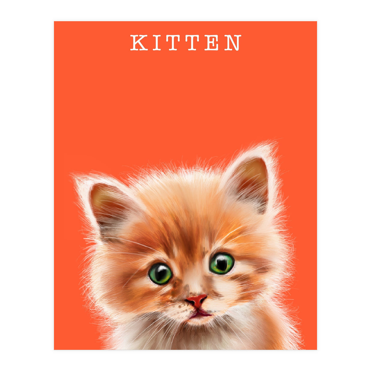 Kitten (Print Only)
