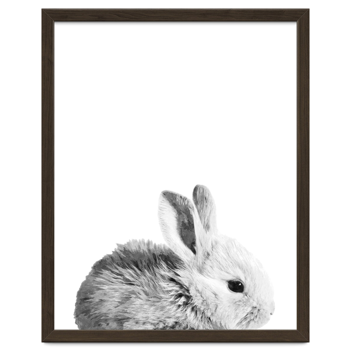 Black and White Bunny Portrait