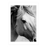 27 (Print Only) thumbnail