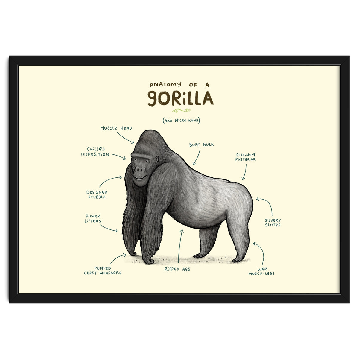 Anatomy of a Gorilla