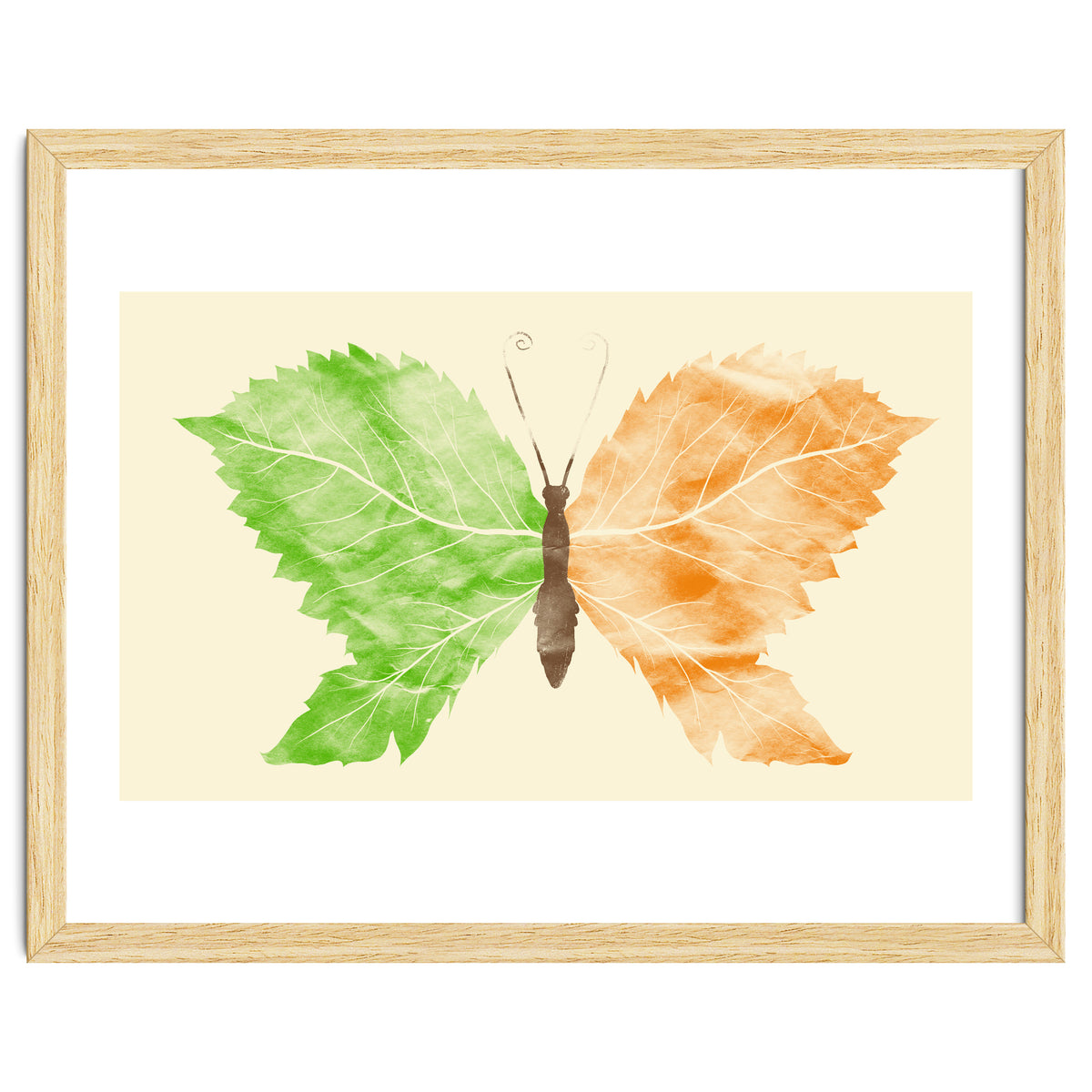 Seasons Change Time Flies