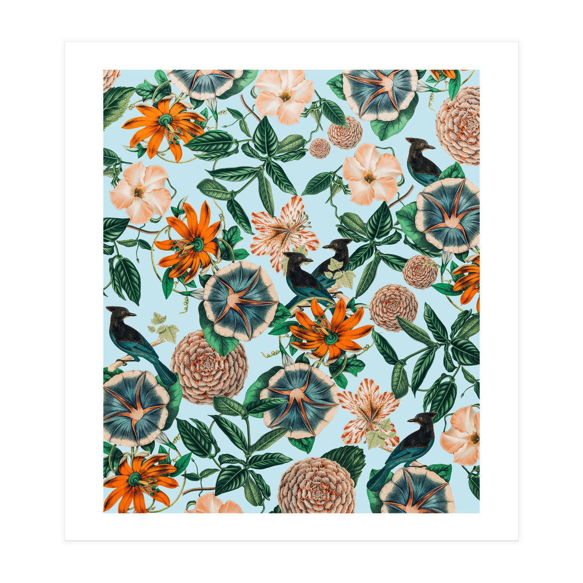 Forest Birds (Print Only)