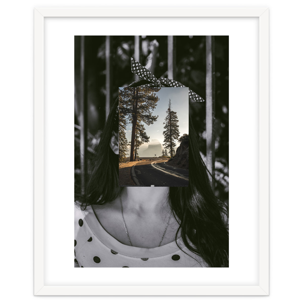 Silva Where Are You?