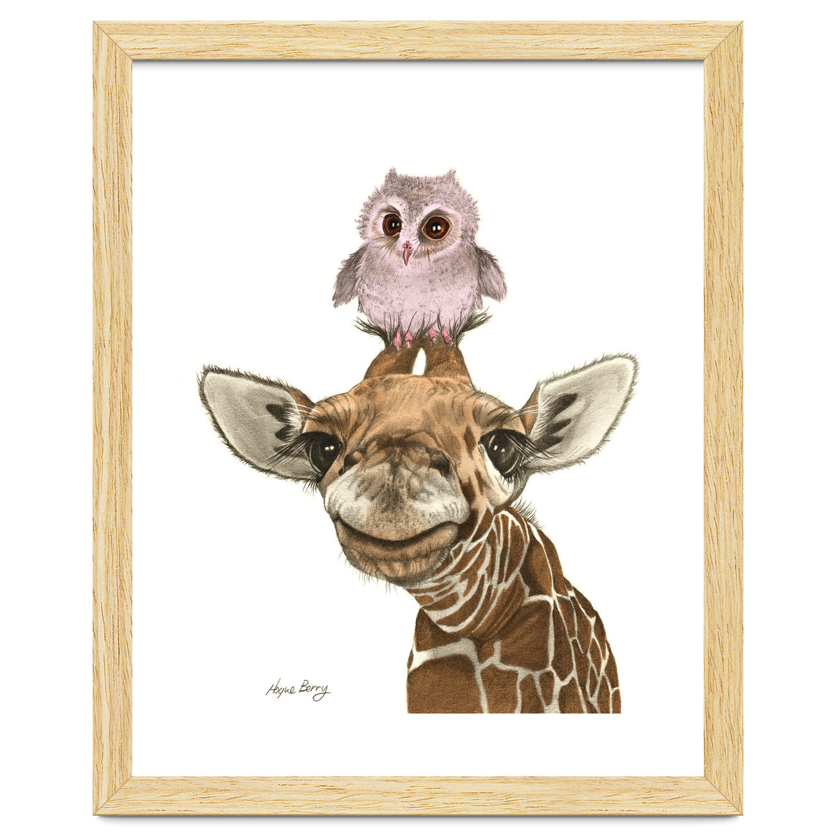 Giraffe and Owl
