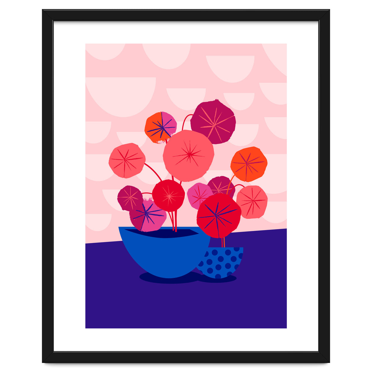 Pileas in Red and Pink