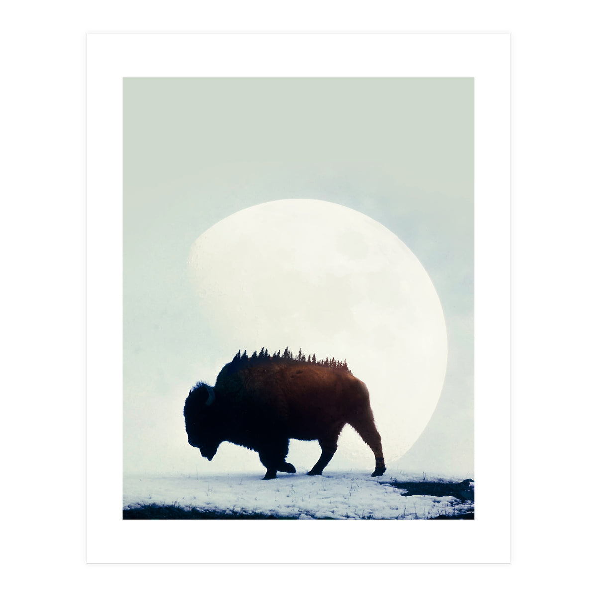 Wild West (Print Only)