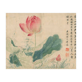 Qing Wangwu Flower album, lotus, lotus leaf, pond, copy of water grass (Print Only) thumbnail