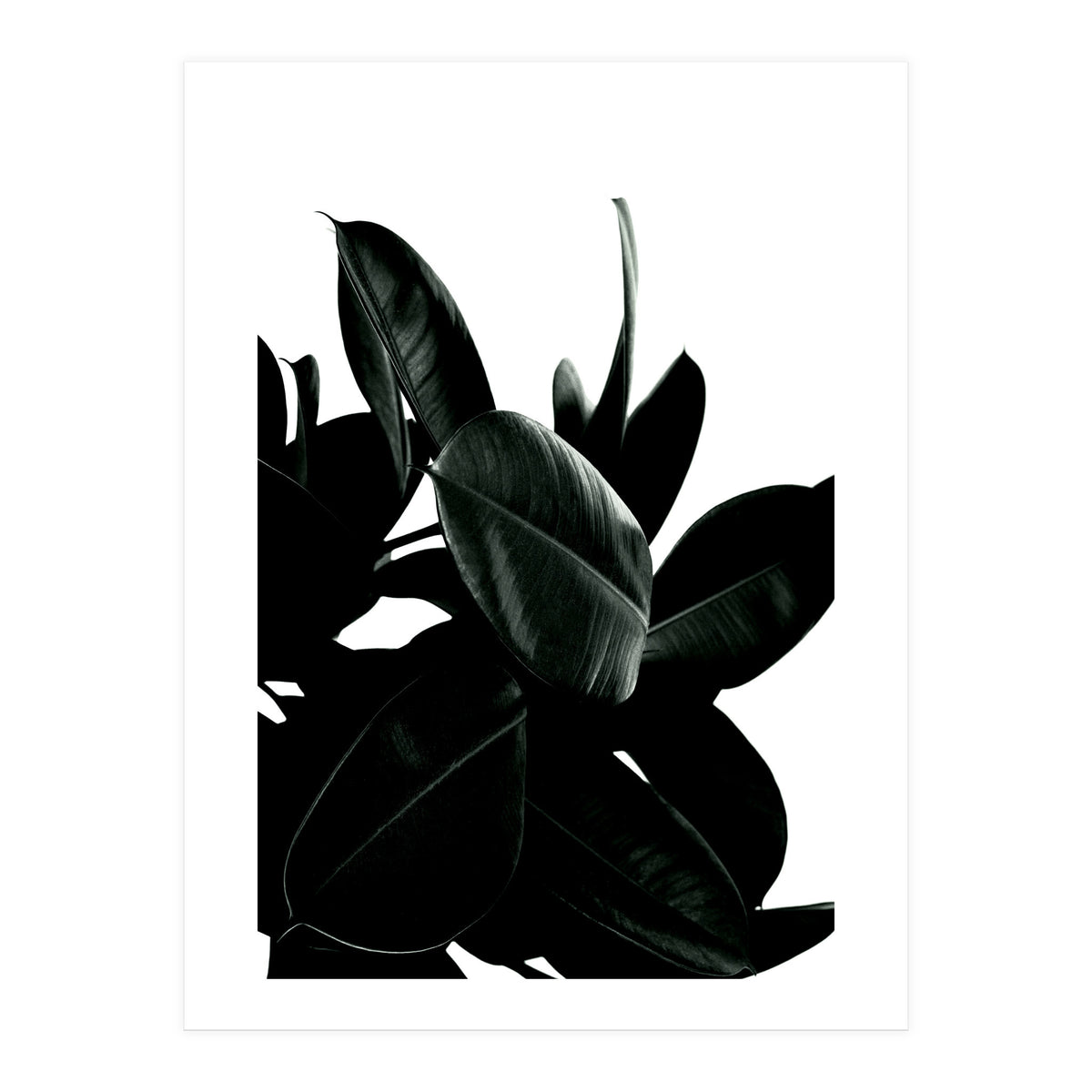 Dark Tree (Print Only)