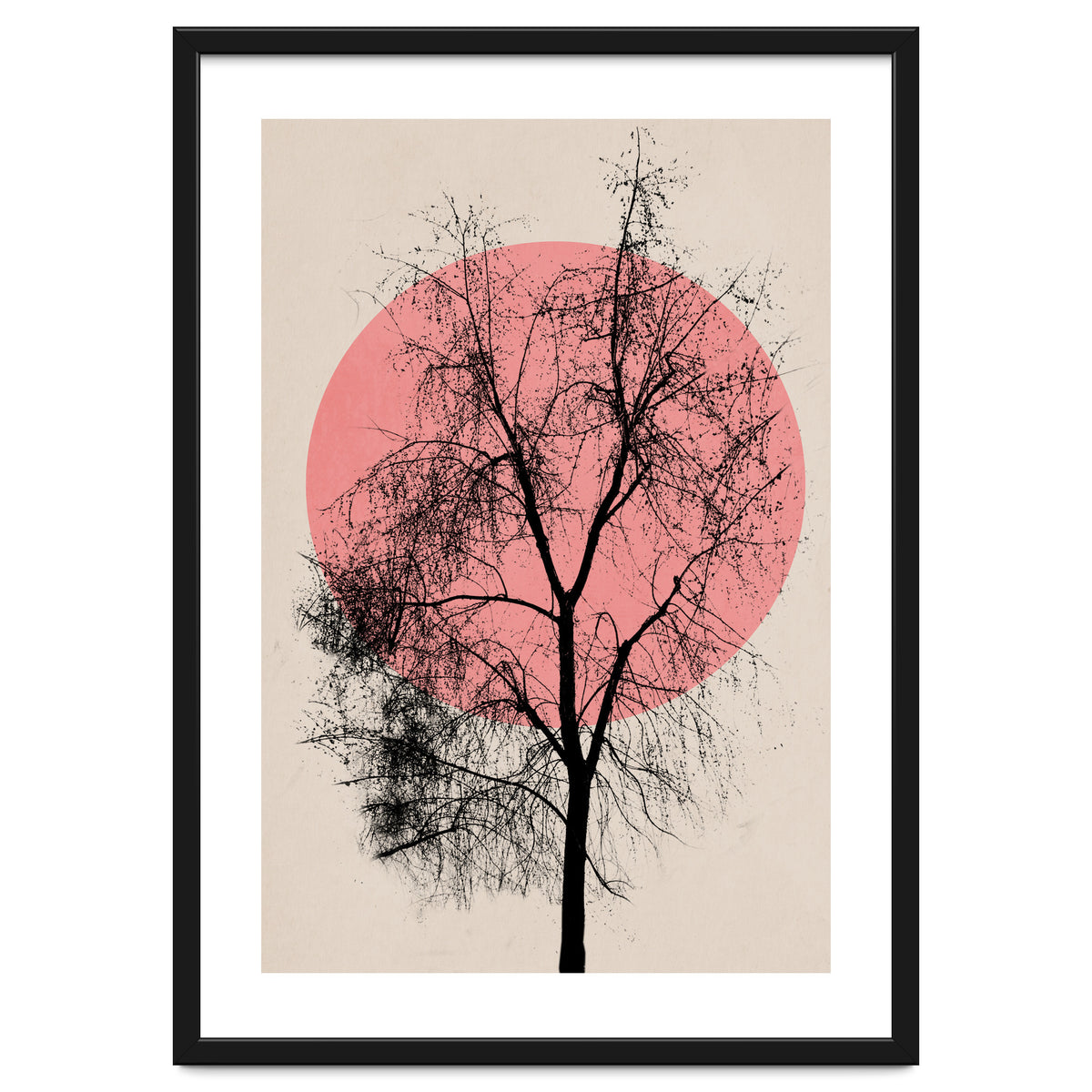 Memories And Moments