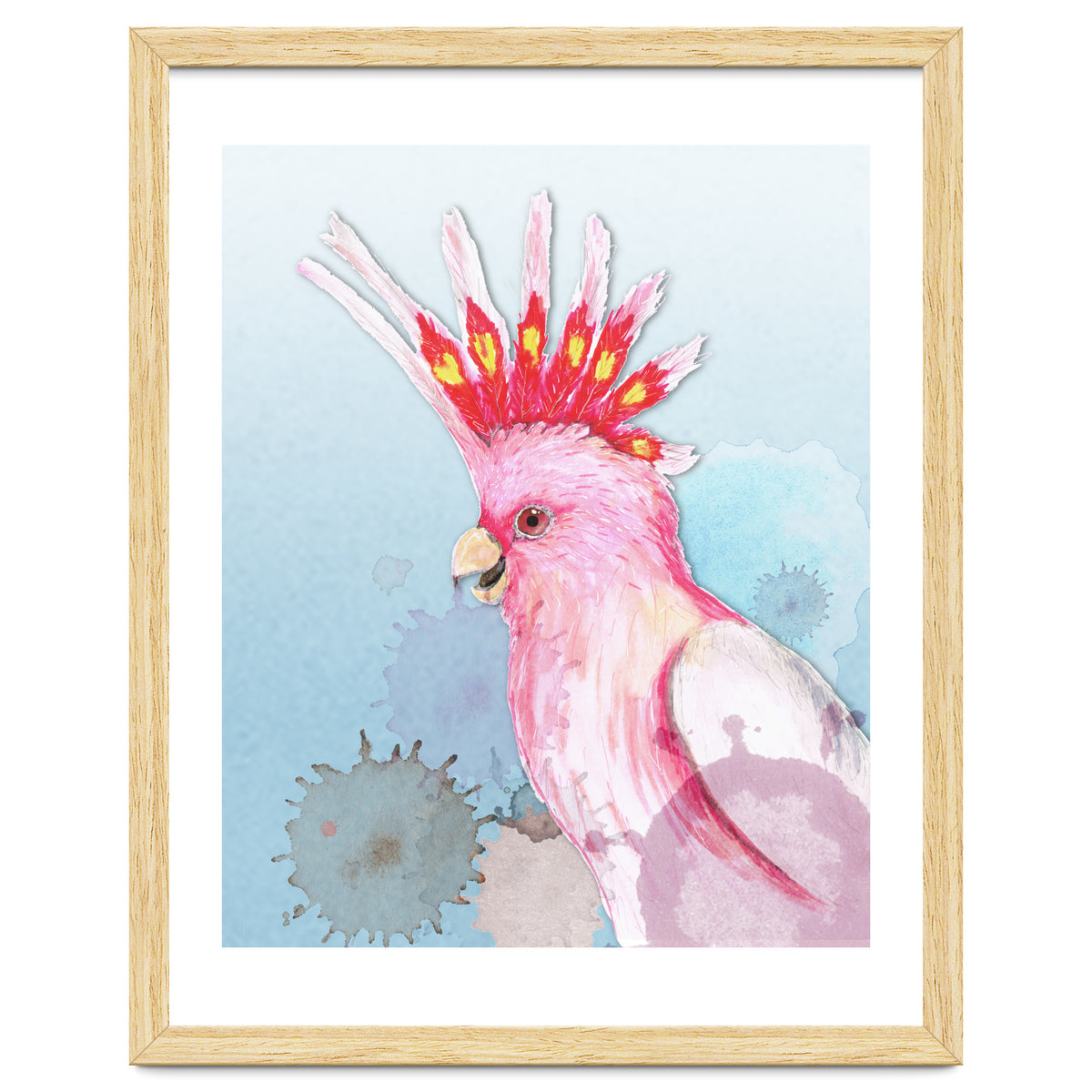 Major Mitchell's cockatoo