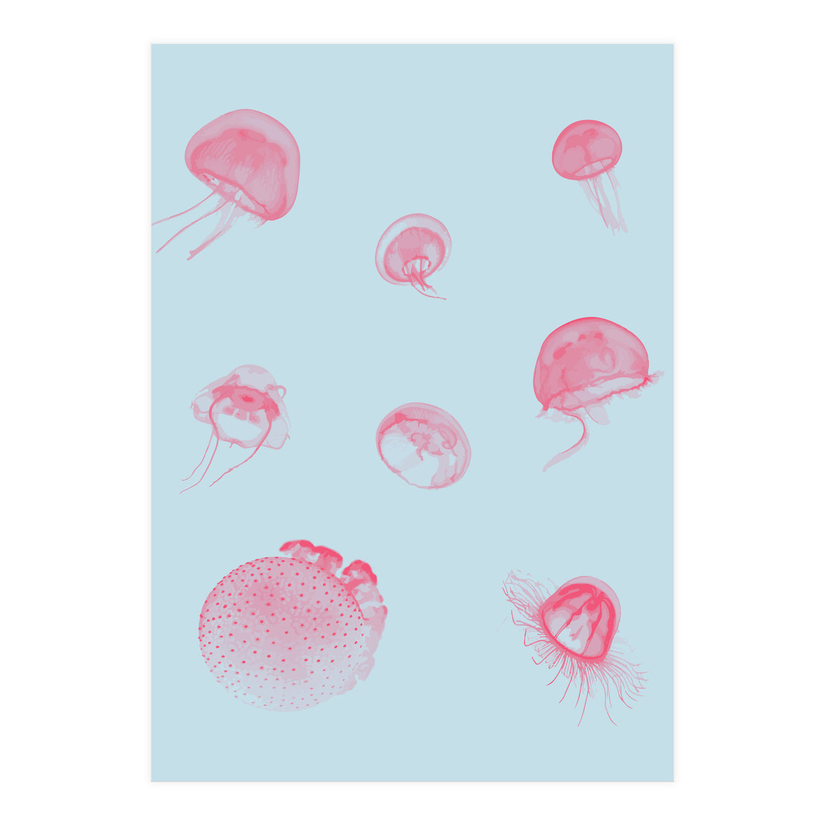 Jellyfish (Print Only)