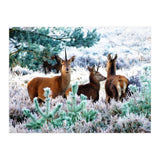 Unicorn Deer (Print Only) thumbnail