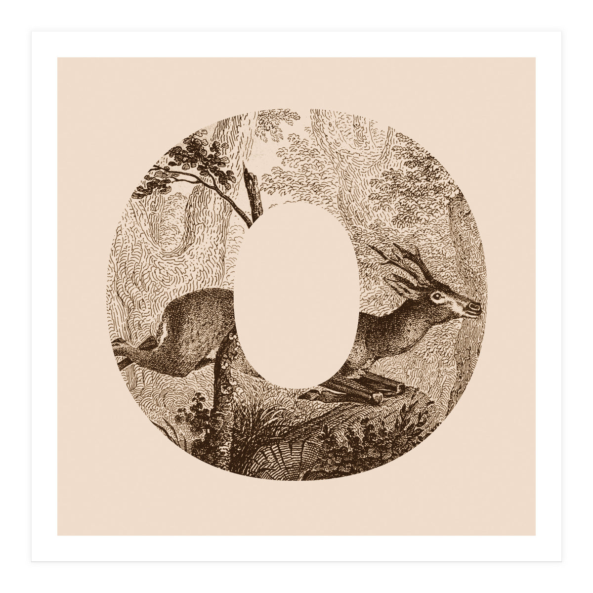 Oh Deer (Print Only)