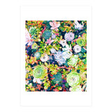 Watercolor Succulents (Print Only) thumbnail