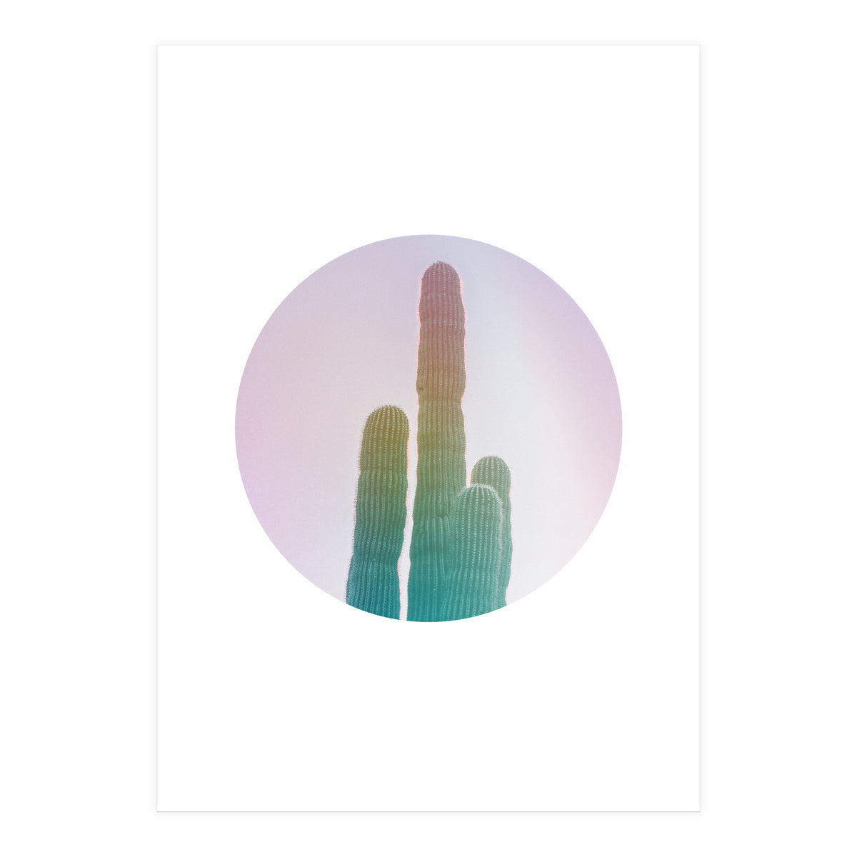 Circular Cacti (Print Only)