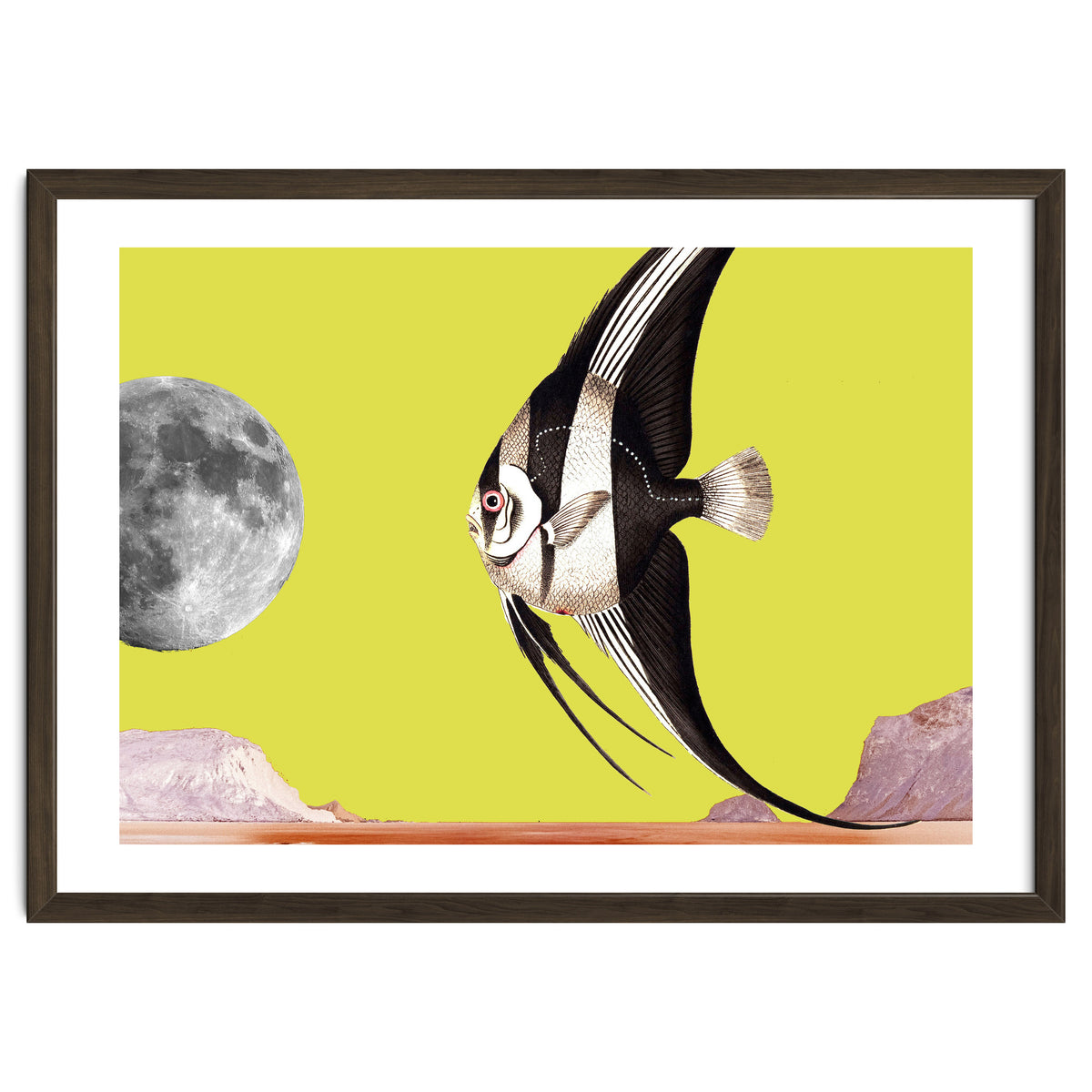 Plenty of fish in the sea yellow