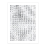 Shadowplay White (Print Only) thumbnail