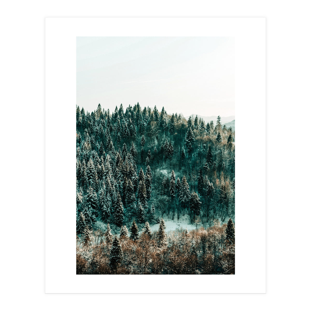 In The Wild (Print Only)