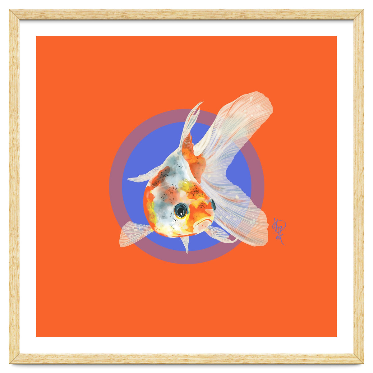 Koi Carp
