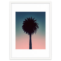 Sundown Palm