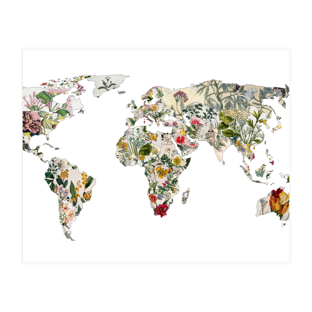Vintage Botanical Map (Print Only)