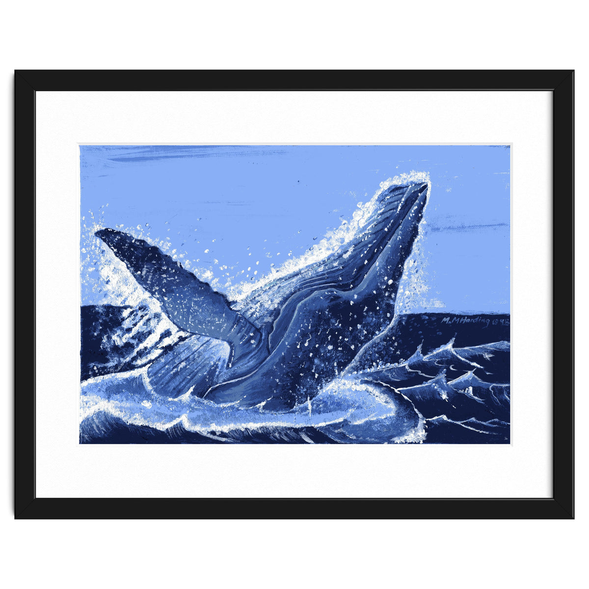 Humpback Whale Breaching