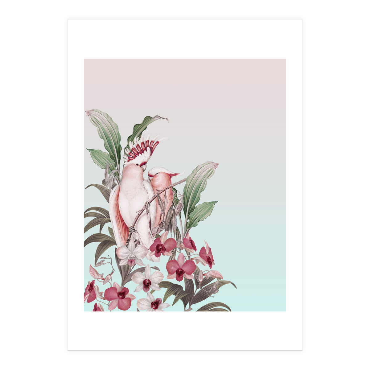 Pastel Cockatoos Paradise (Print Only)