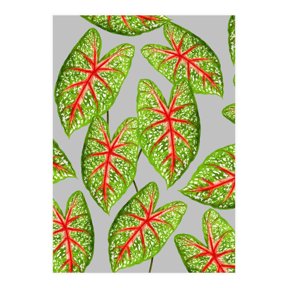 Expression Of Peace (Print Only)