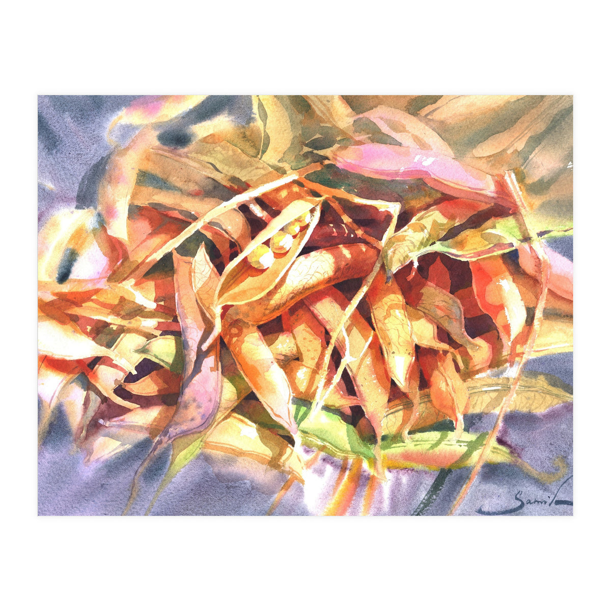 Bean Pods  (Print Only)