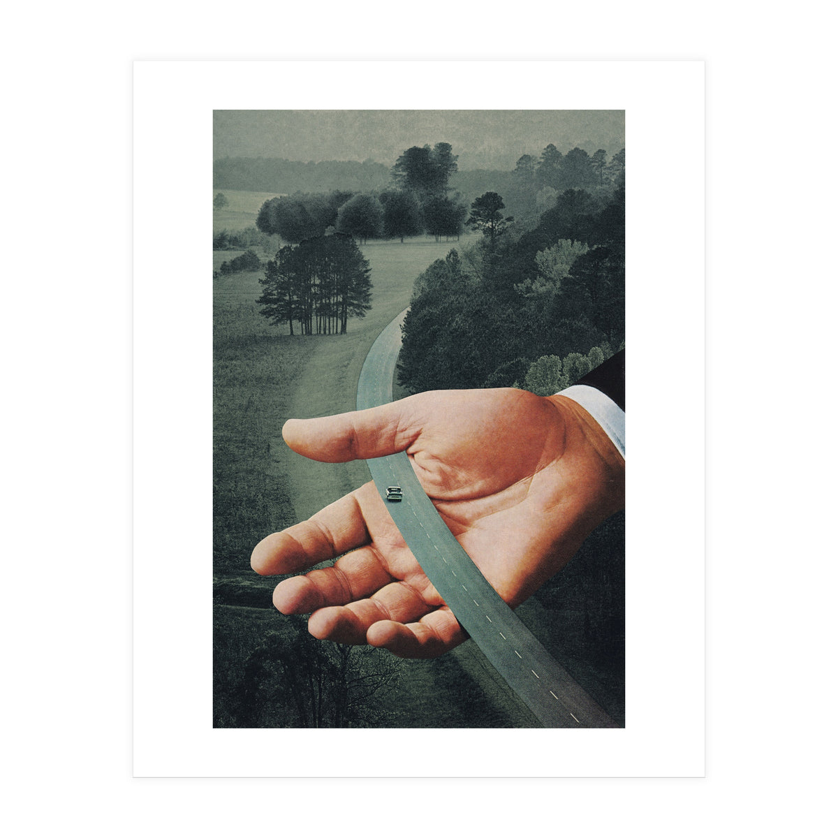 Comfort Zone (Print Only)