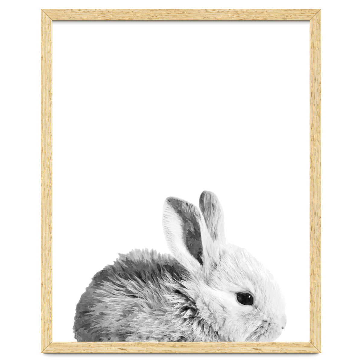 Black and White Bunny Portrait