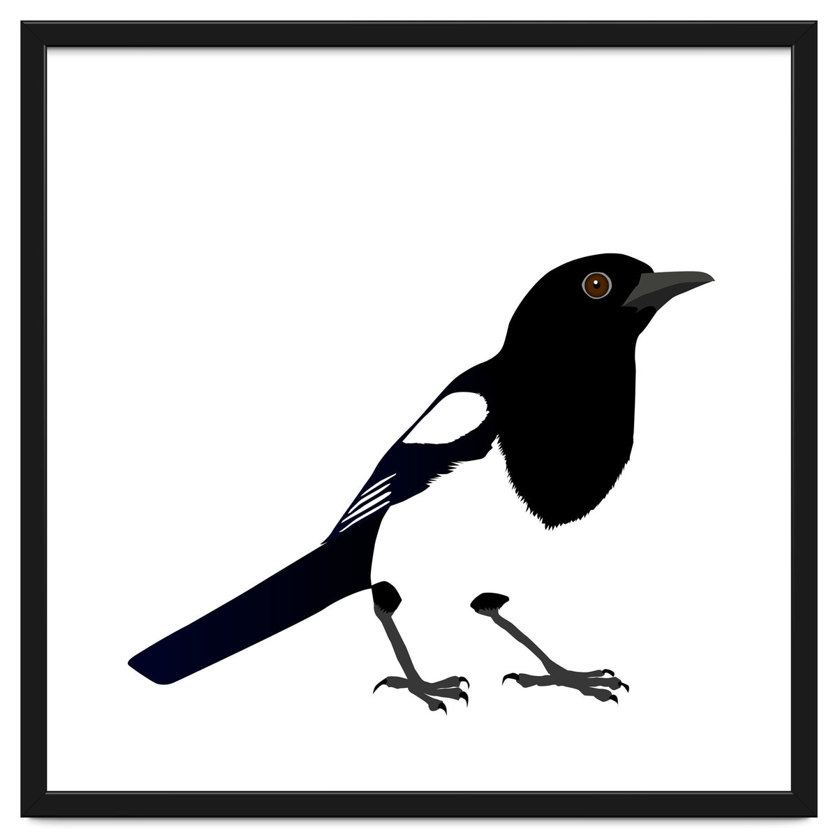 Magpie