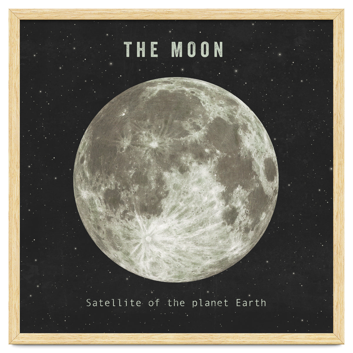 The Moon