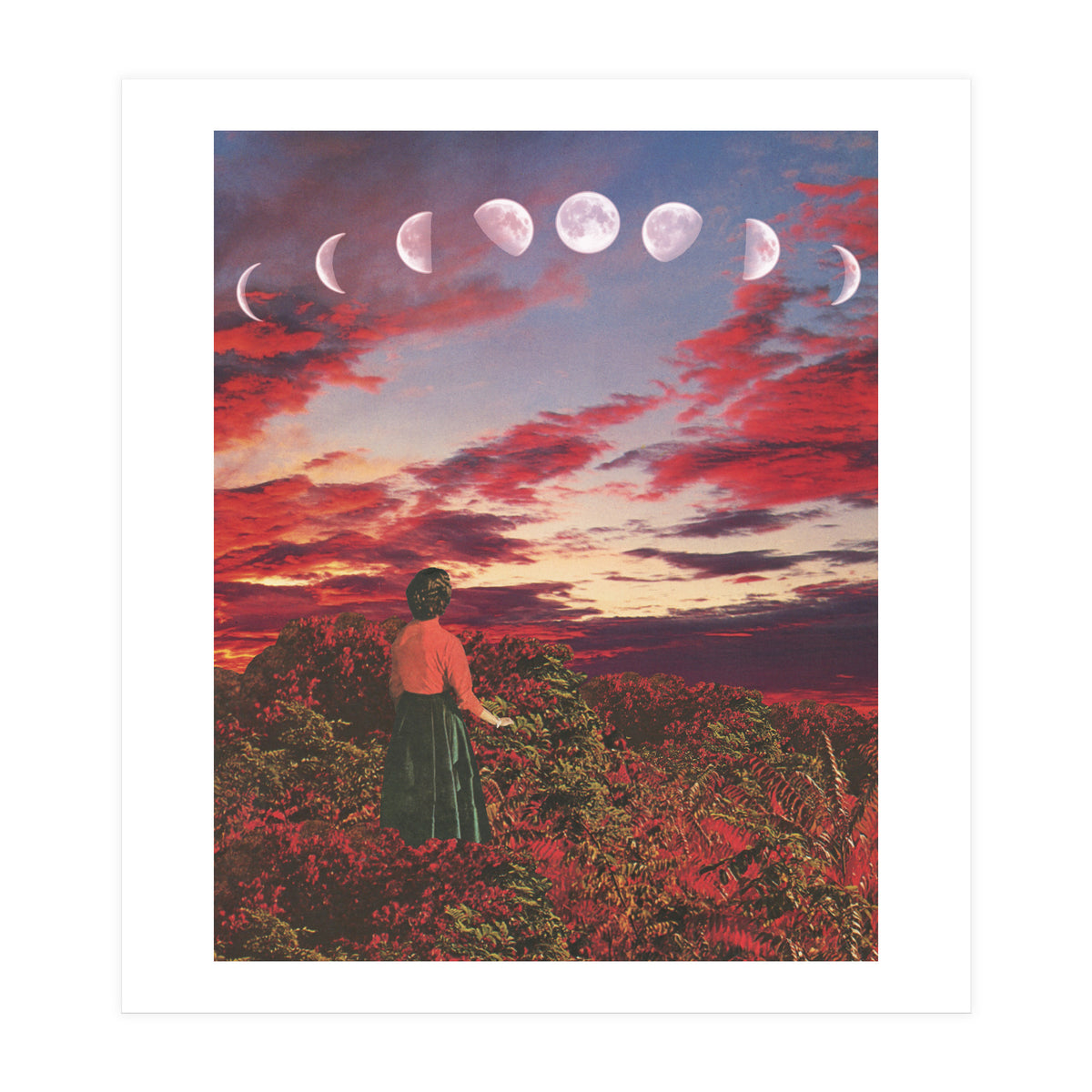 Crimson Paradise (Print Only)