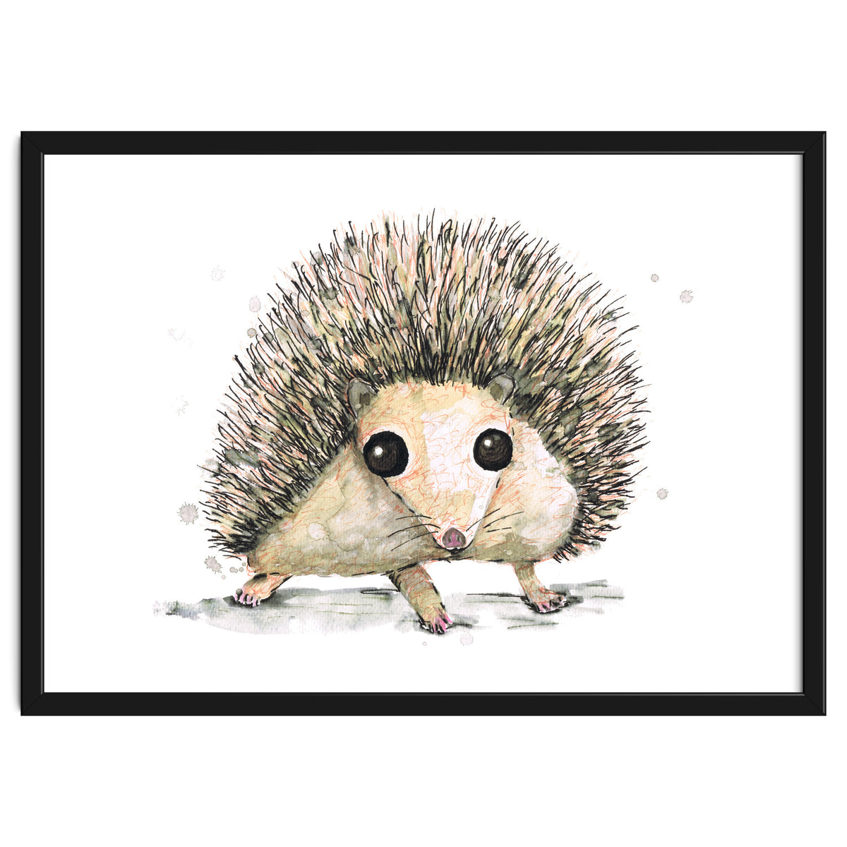 Hedgehog