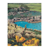 Sheep Farm (Print Only) thumbnail