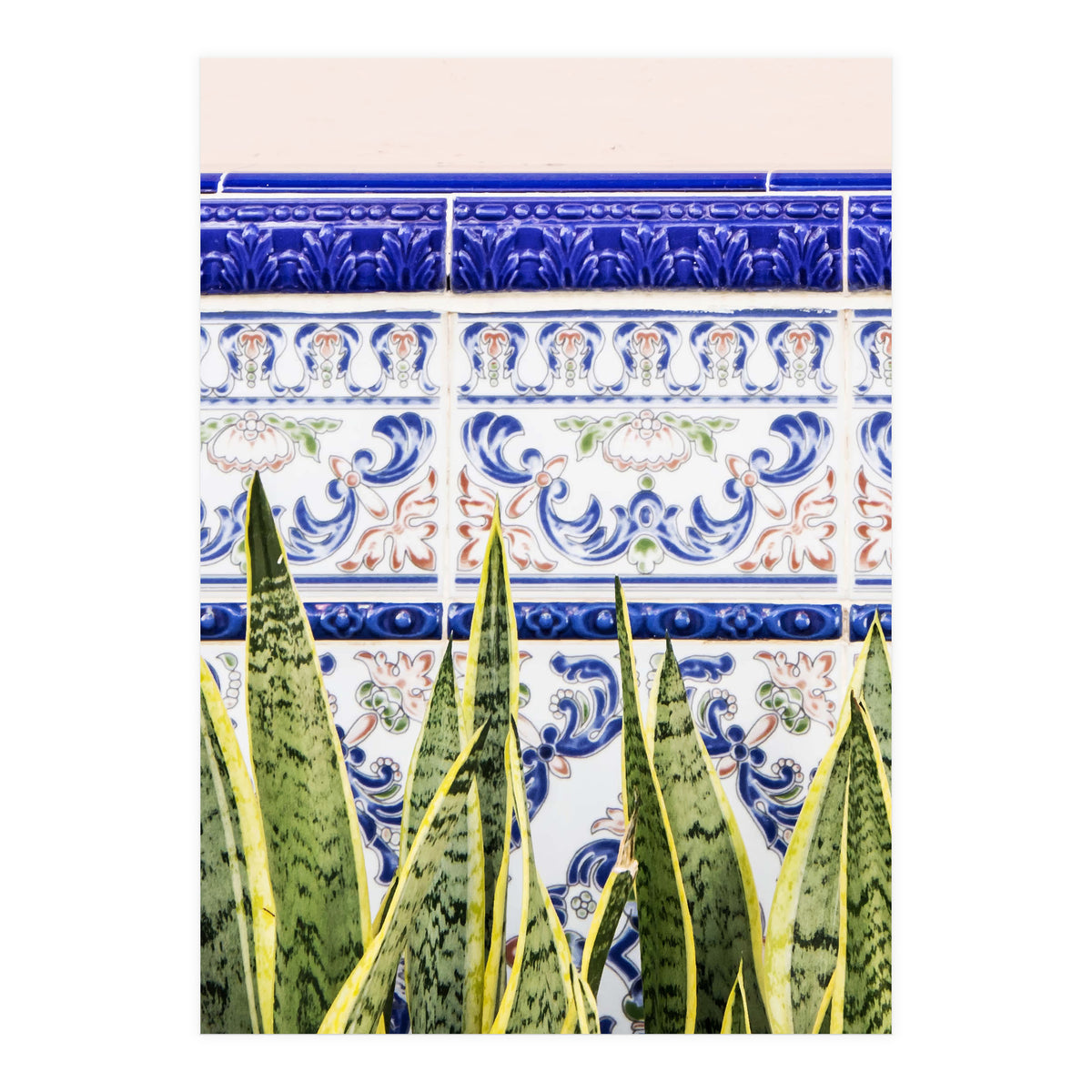 Moroccan Botany (Print Only)