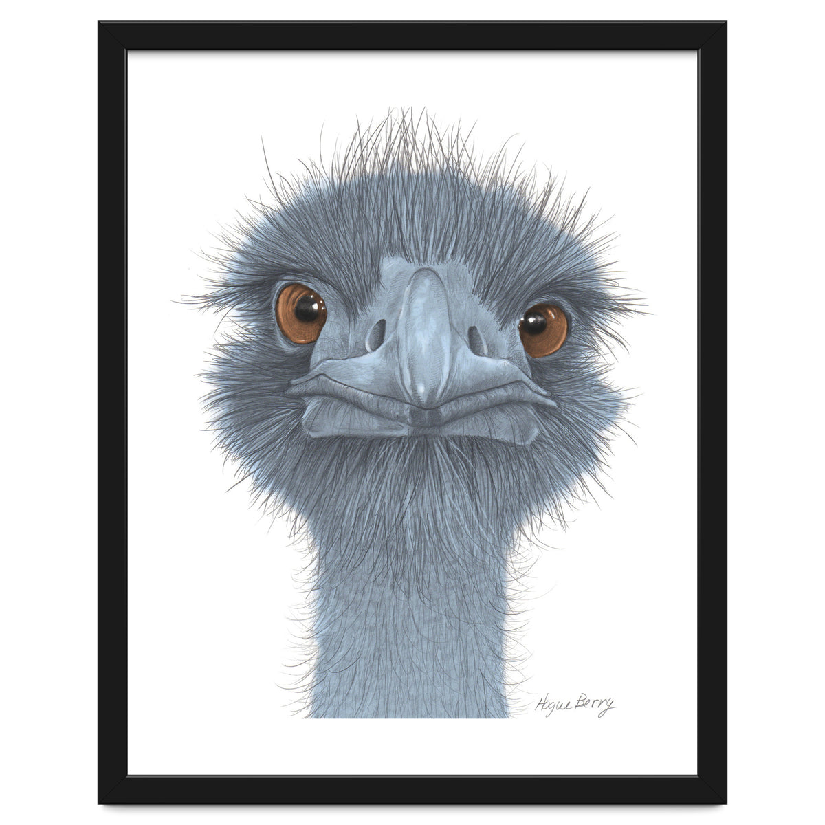 The Blue Emu