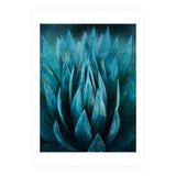 Blue Succulent (Print Only) thumbnail
