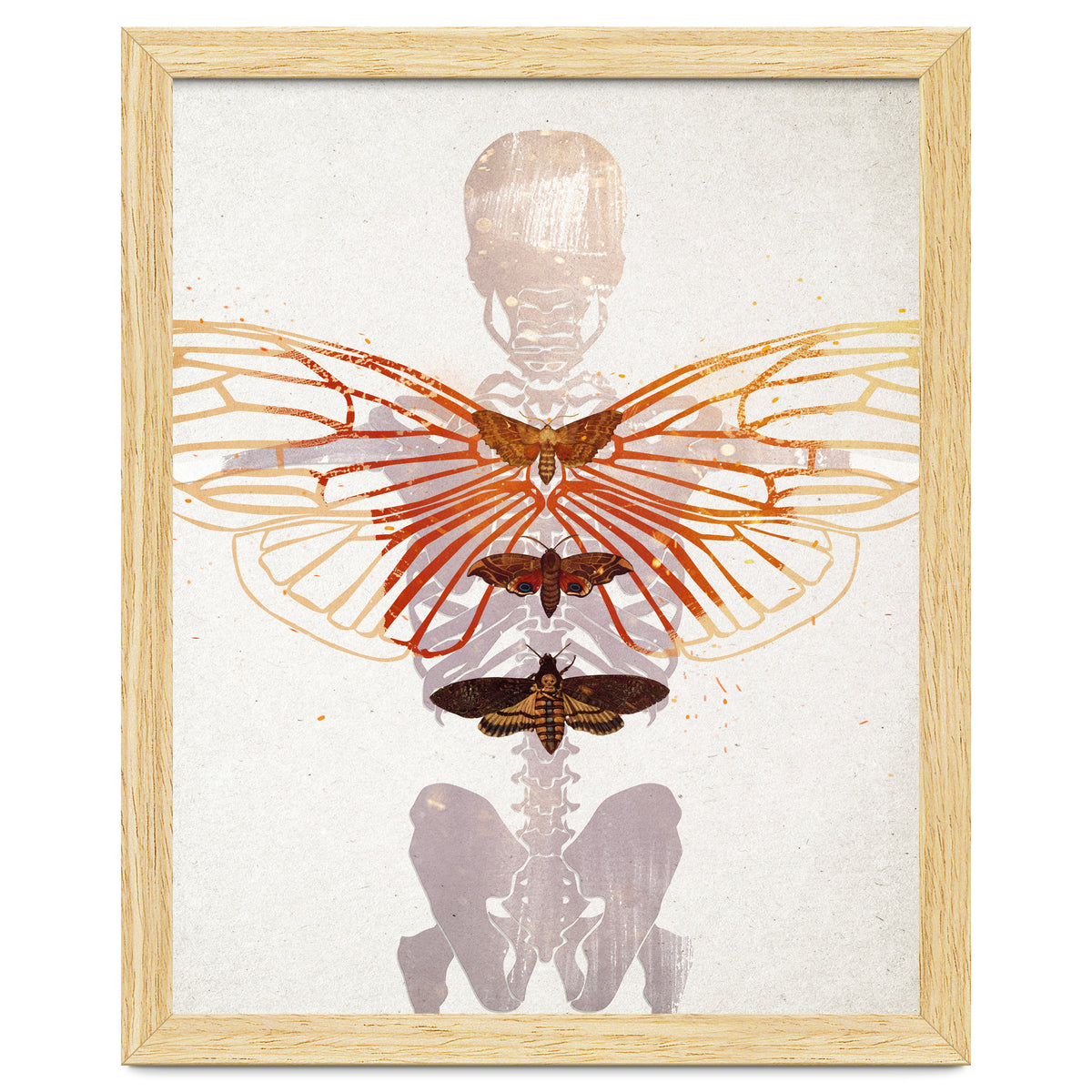 Ikarus - Like a Moth to the Flame