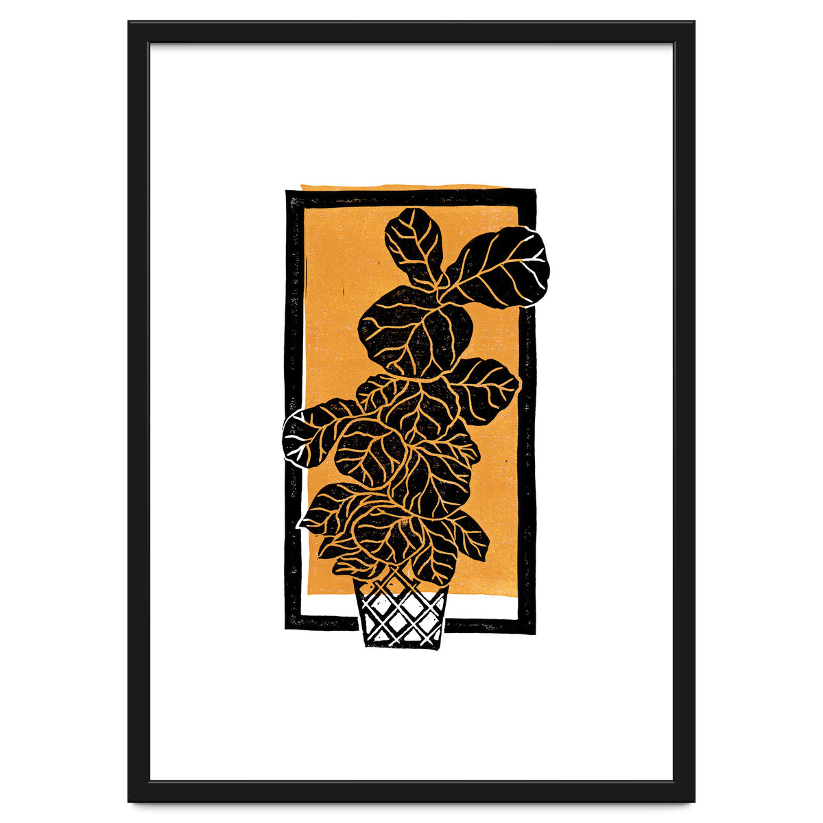 Fiddle Leaf Fig Clean + Sunlight